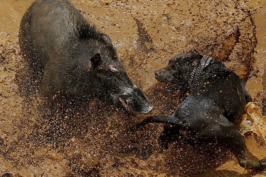 Foto: Reuters Foto: Reuters