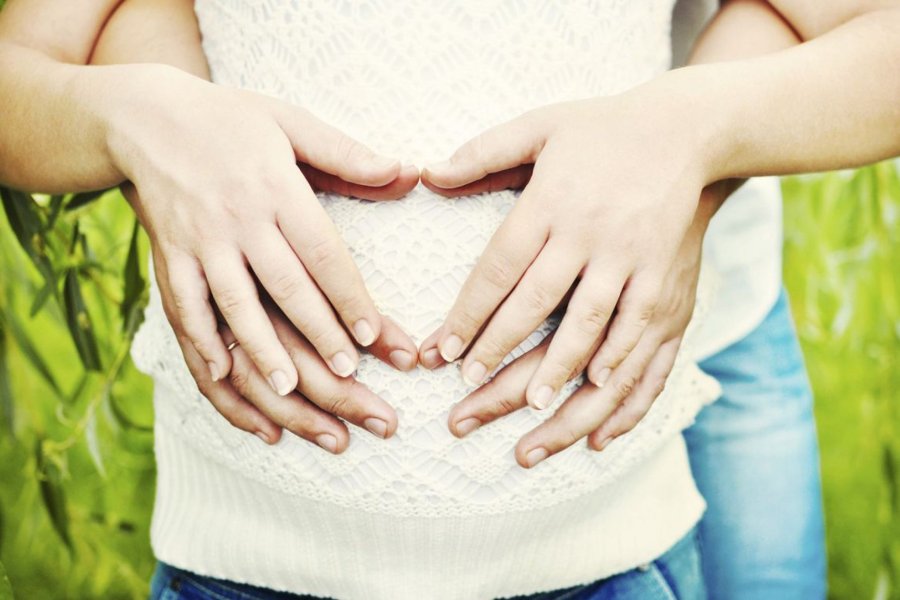 fertilización fertilización