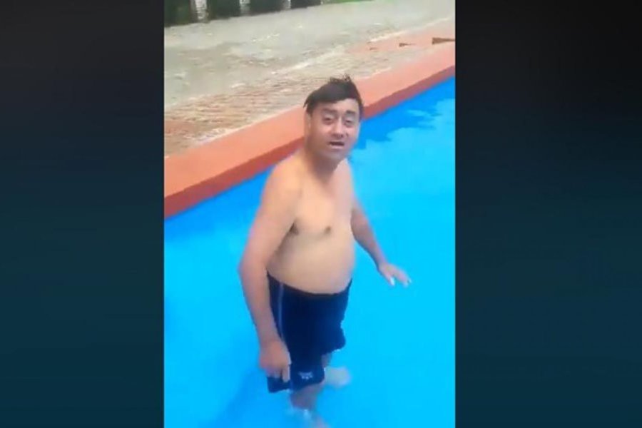 Coo se metió a una pileta para pasar el calor Coo se metió a una pileta para pasar el calor
