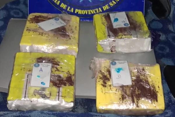 Secuestraron en San Luis cocaína valuada en $28 millones en un micro que iba a Mendoza