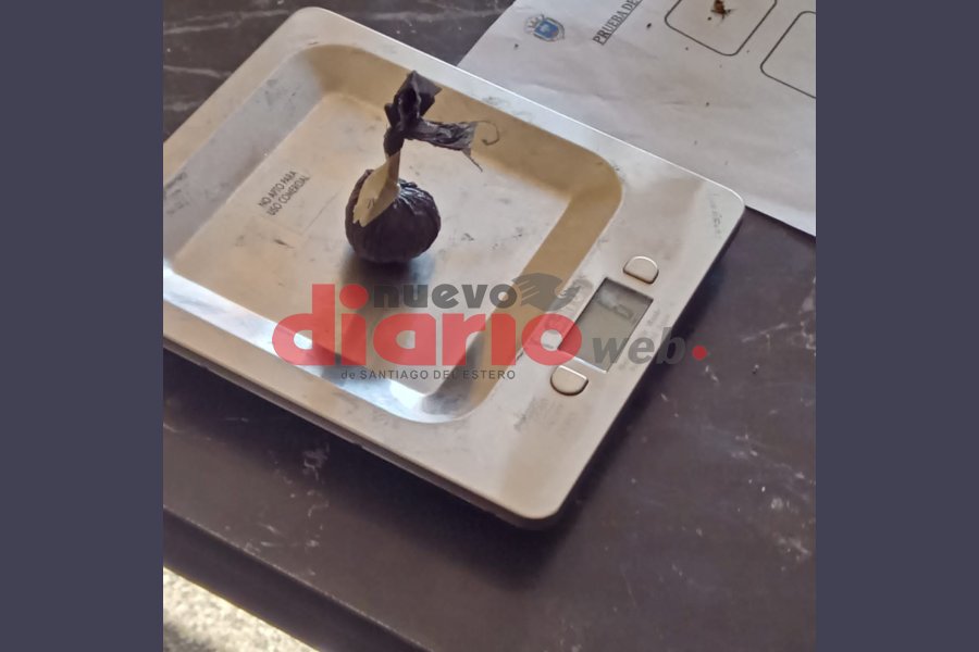 Los policías realizaron las pericias de rigor. Los policías realizaron las pericias de rigor.