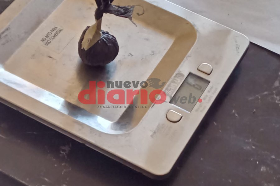 Dirección de Drogas Peligrosas realizó pericias. Dirección de Drogas Peligrosas realizó pericias.