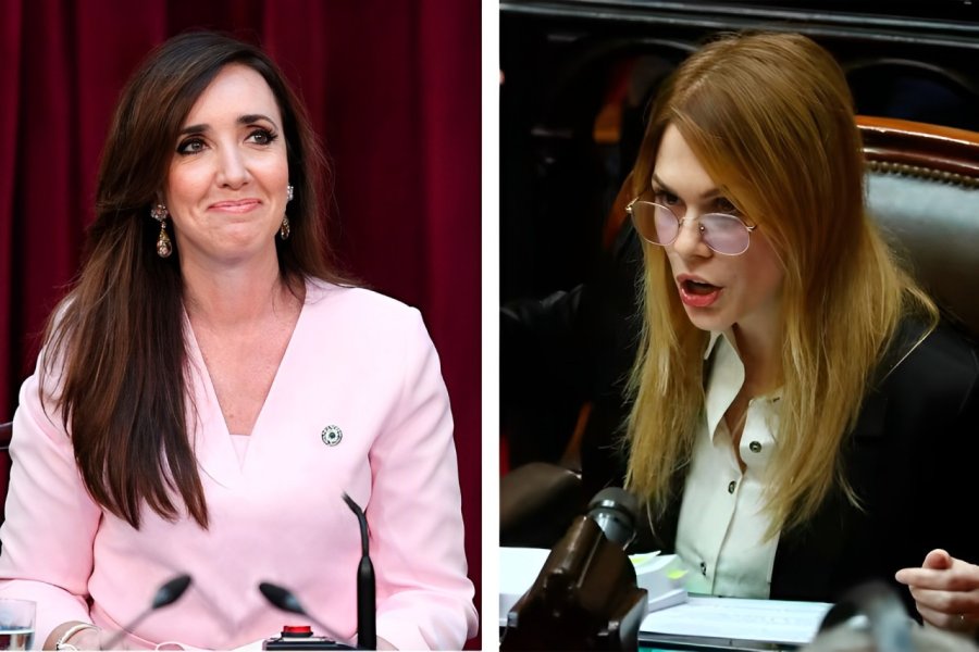 La Vice y la Diputada. La Vice y la Diputada.