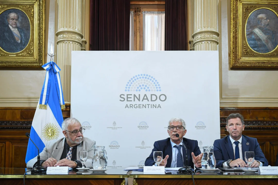 Cúneo Libarona en el Senado Cúneo Libarona en el Senado