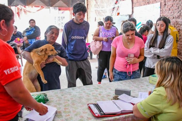 El Programa de Zoonosis y Tenencia Responsable realizó más de 400 castraciones mensuales durante este año