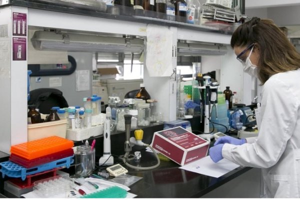 Alerta por la drástica reducción de la inversión estatal en Ciencia y ...