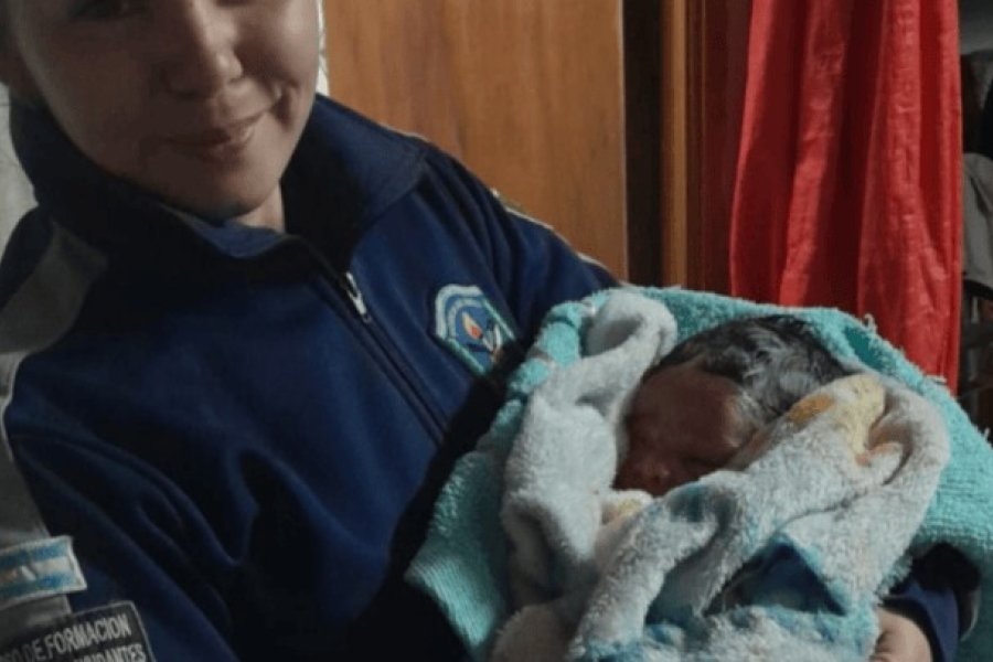 Crónica Crónica
