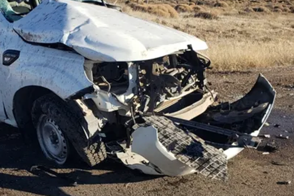Un hombre y dos mujeres se salvaron de milagro tras chocar una vaca en Ruta 16