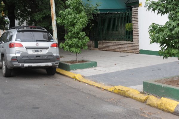 Un vecino estacionó su auto en la puerta de su casa, agarró un machete y le cortó la oreja