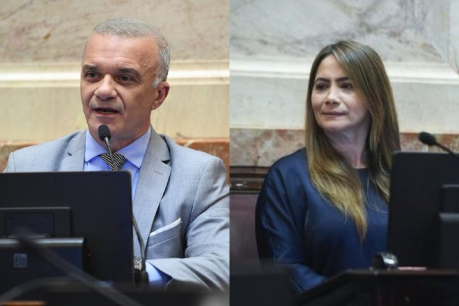 Los senadores Carlos Arce y Sonia Rojas Decut Los senadores Carlos Arce y Sonia Rojas Decut