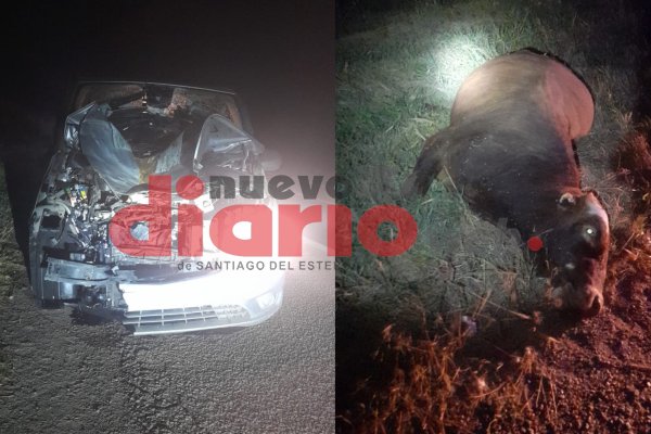 Chocó a un animal suelto en Ruta 34 y se salvó de milagro