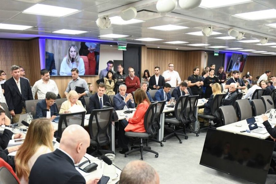 Plenario comisiones jubilaciones diputados Plenario comisiones jubilaciones diputados