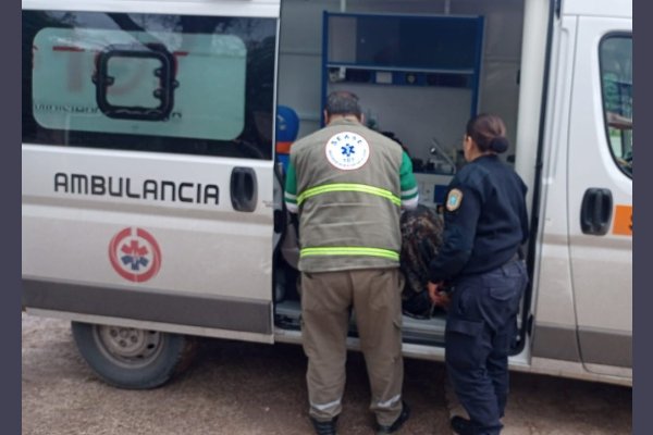 Una tapia se desplomó, aplastó y mató a un niño de 5 años mientras jugaba