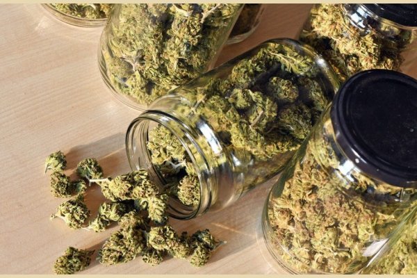 Secuestraron más de cinco kilos de marihuana en casas de Ojo de Agua