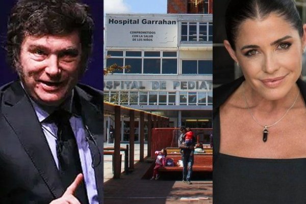 Pamela David destrozó a Javier Milei por la crisis en el Hospital Garrahan