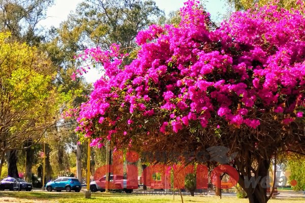 Con -1.3º de térmica a las 7, se espera una máxima de 20º en Santiago del Estero
