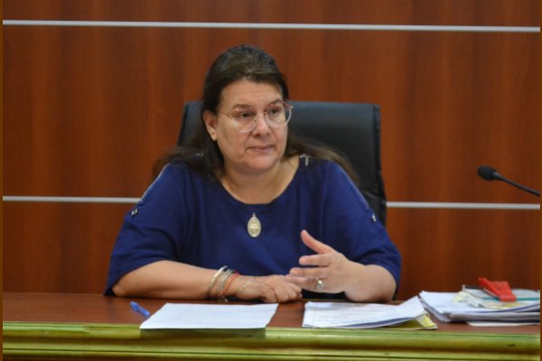 Mujer quimilense que abandonó a su hijo recién nacido será enjuiciada