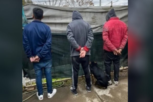 La insólita reacción del perro de una banda narco cuando la Policía sacó la foto de la detención