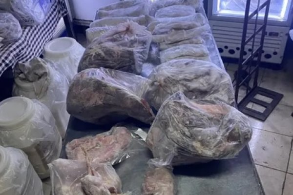 Clausuran un restaurante porque vendían carne de carpincho, yacaré y ranas
